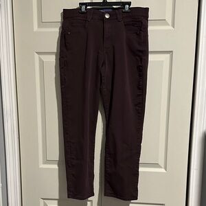 Dark Burgundy Pants 12 petite